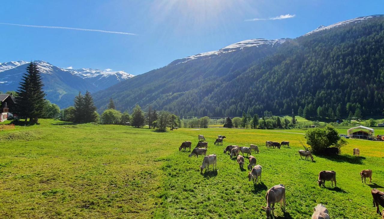 Chalet Breithorn- Perfect For Holiday With Amazing View! Obergesteln Exterior photo